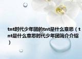 tnt时代少年团的tnt是什么意思（tnt是什么意思时代少年团简介介绍）