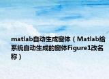 matlab自动生成窗体（Matlab给系统自动生成的窗体Figure1改名称）