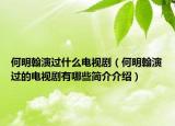 何明翰演过什么电视剧（何明翰演过的电视剧有哪些简介介绍）