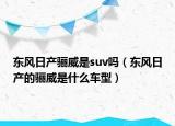 东风日产骊威是suv吗（东风日产的骊威是什么车型）