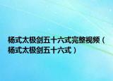 杨式太极剑五十六式完整视频（杨式太极剑五十六式）