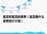 官宣和官宣的意思（官宣是什么意思简介介绍）
