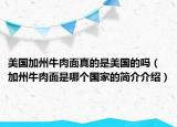 美国加州牛肉面真的是美国的吗（加州牛肉面是哪个国家的简介介绍）