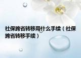 社保跨省转移用什么手续（社保跨省转移手续）