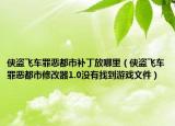 侠盗飞车罪恶都市补丁放哪里（侠盗飞车罪恶都市修改器1.0没有找到游戏文件）