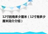 12寸的有多少厘米（12寸有多少厘米简介介绍）