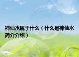 神仙水属于什么（什么是神仙水简介介绍）