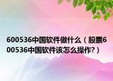 600536中国软件做什么（股票600536中国软件该怎么操作?）