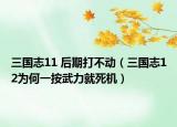 三国志11 后期打不动（三国志12为何一按武力就死机）
