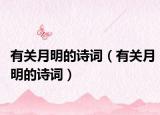 有关月明的诗词（有关月明的诗词）