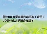 荷兰tud大学在国内啥层次（荷兰TUD是什么大学简介介绍）