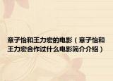 章子怡和王力宏的电影（章子怡和王力宏合作过什么电影简介介绍）