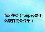 foxPRO（foxpro是什么软件简介介绍）