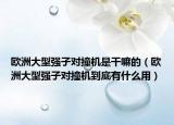 欧洲大型强子对撞机是干嘛的（欧洲大型强子对撞机到底有什么用）
