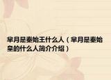 芈月是秦始王什么人（芈月是秦始皇的什么人简介介绍）