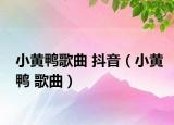 小黄鸭歌曲 抖音（小黄鸭 歌曲）
