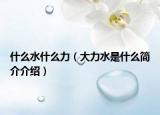 什么水什么力（大力水是什么简介介绍）