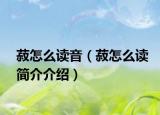 菽怎么读音（菽怎么读简介介绍）