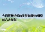 今日更新组织的类型有哪些(组织的六大类型)
