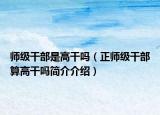 师级干部是高干吗（正师级干部算高干吗简介介绍）