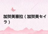 加贺美塞拉（加贺美セイラ）