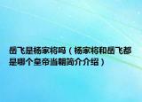岳飞是杨家将吗（杨家将和岳飞都是哪个皇帝当朝简介介绍）