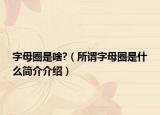 字母圈是啥?（所谓字母圈是什么简介介绍）