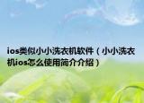 ios类似小小洗衣机软件（小小洗衣机ios怎么使用简介介绍）