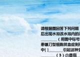 请根据图回答下列问题（1）某人皮肤烫伤后出现水泡该水泡内的液体主要是指[（] __________（用图中标号表示）（2）若某人患镰刀型细胞贫血症则形态发生变化的是图中[ ]________引起这种变化的根本原因是__________（3）②是指__________细胞其直接的生活环境是__________④的渗透压大小主要与__________的含量有关
