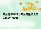 冬至是冬季吗（冬至算是进入冬天吗简介介绍）