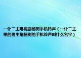 一仆二主电视剧杨树手机铃声（一仆二主里的男主角杨树的手机铃声叫什么名字）