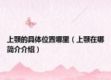 上颚的具体位置哪里（上颚在哪简介介绍）