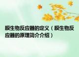 膜生物反应器的定义（膜生物反应器的原理简介介绍）