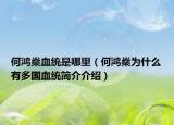 何鸿燊血统是哪里（何鸿燊为什么有多国血统简介介绍）