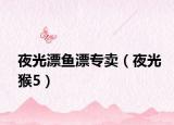 夜光漂鱼漂专卖（夜光猴5）