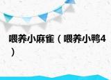 喂养小麻雀（喂养小鸭4）