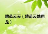 碧蓝云天（碧蓝云端翔龙）