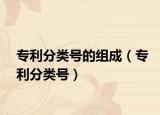 专利分类号的组成（专利分类号）