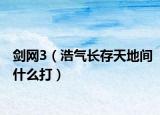 剑网3（浩气长存天地间什么打）