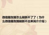 微信朋友圈怎么刷新不了了（为什么微信朋友圈刷新不出来简介介绍）