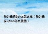 华为畅想9plus怎么样（华为畅享9plus怎么截图）
