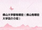 佛山大学都有哪些（佛山有哪些大学简介介绍）