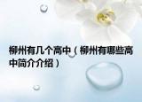 柳州有几个高中（柳州有哪些高中简介介绍）