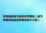你知道的益鸟益虫还有哪些（益鸟有哪些和益虫有哪些简介介绍）