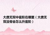 大唐无双中官阶在哪里（大唐无双没帮会怎么升官阶）