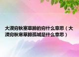 大漠穷秋塞草腓的穷什么意思（大漠穷秋寒草腓孤城是什么意思）