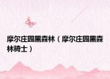 摩尔庄园黑森林（摩尔庄园黑森林骑士）