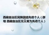 西藏自治区民族团结先进个人（群培 西藏自治区见义勇为先进个人）