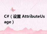 C#（设置 AttributeUsage）