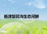 新津梨花沟生态河鲜